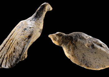 Ice Age bird figurines discovered in German cave