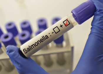 Colorado posts double Salmonella cases compared to previous years