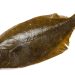 Study flags risks of raw fish consumption