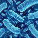 Cyclospora Boosts Fears That Worse Foodborne Outbreaks Are Ahead
