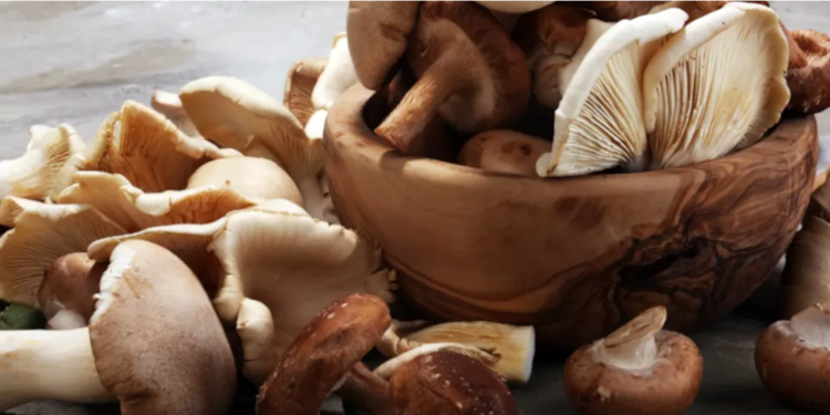 China records spike in mushroom poisoning cases with more than 2,100 patients reported