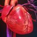 Psoriasis Linked to Myocardial Dysfunction