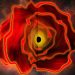 Astronomers discover the existence of a ‘black hole star’