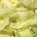Outbreak of infections from Cyclospora parasite reaches 41 states