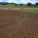 ‘If this is the new normal, then we are in very deep trouble’: Brazil’s drying aquifers could have ripple effects across the world