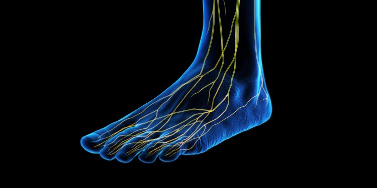 If the 100 Muscles and Tendons In Your Feet Aren’t Strong, Neither Are You. This Is How to Get Them There.