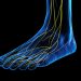 If the 100 Muscles and Tendons In Your Feet Aren’t Strong, Neither Are You. This Is How to Get Them There.