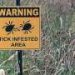 Tick-borne meat allergy: Many carry alpha-gal antibodies without symptoms