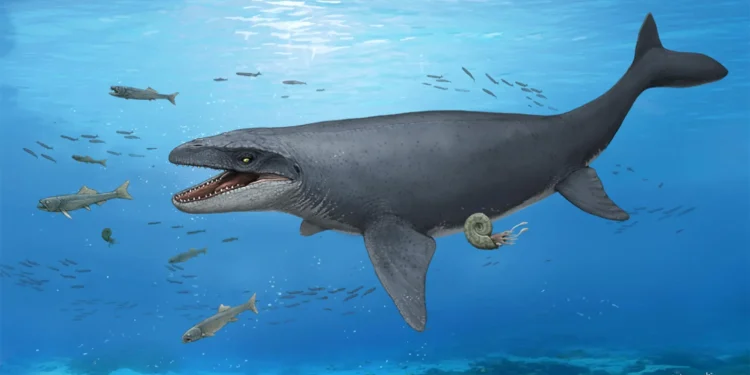 A 30-year-old fossil was hiding bones from a mysterious ancient sea monster
