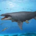 A 30-year-old fossil was hiding bones from a mysterious ancient sea monster