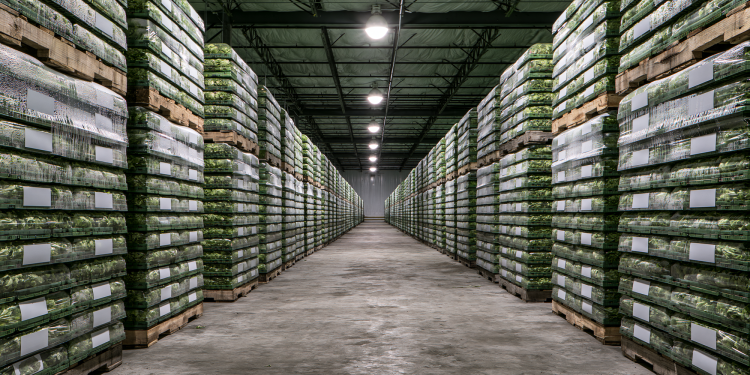 Publisher’s Platform: The Traceability Rule was supposed to be law in January. This cyclospora outbreak started in May.
