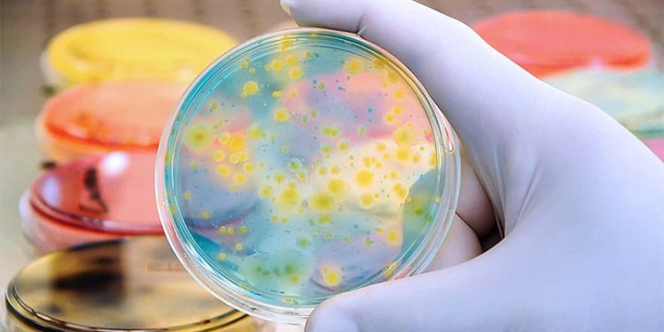 Cefazolin Noninferior to Penicillins for MSSA Bacteremia