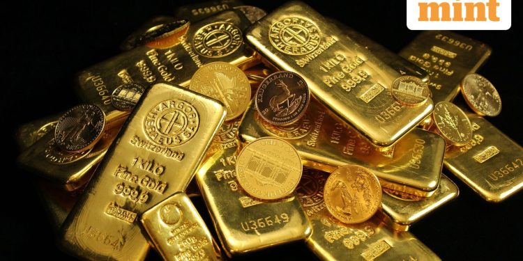 Belgium student unearths ₹99-crore gold stash during routine sewer work under former brewery. But he can’t keep it