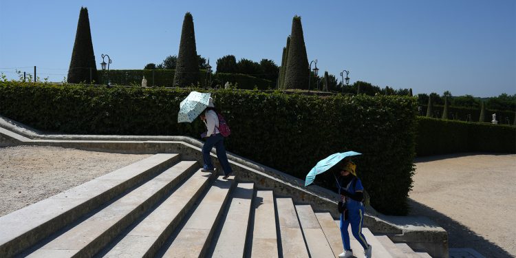 Europe’s Early Heat Wave Led to a Spike in Deaths, May Have Killed Over 10,000