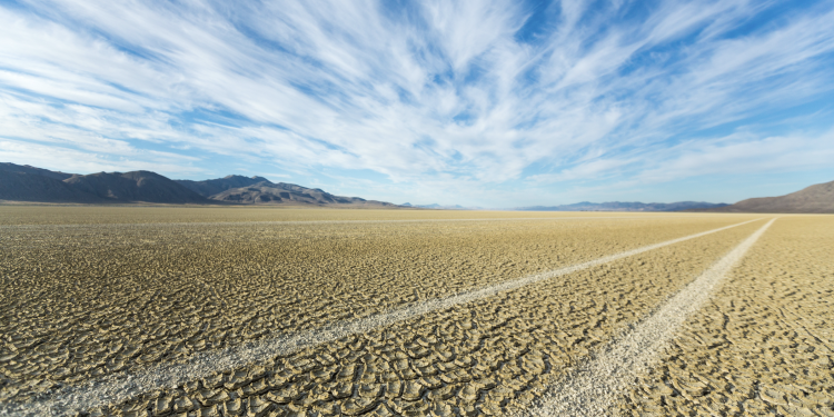 Sunday Edition: Regenerative Agriculture