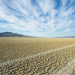 Sunday Edition: Regenerative Agriculture