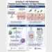 Microbiota dysbiosis triggers intestinal cancer stemness