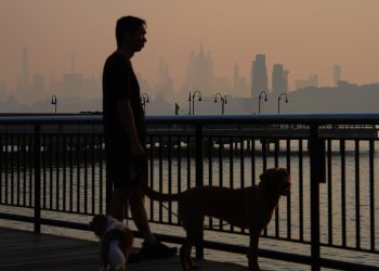 Wildfire Smoke Kills Tens of Thousands Each Year. Here’s How It Attacks the Body.