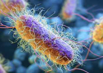 Salmonella outbreak reported in relation to July 4th event in Yakima