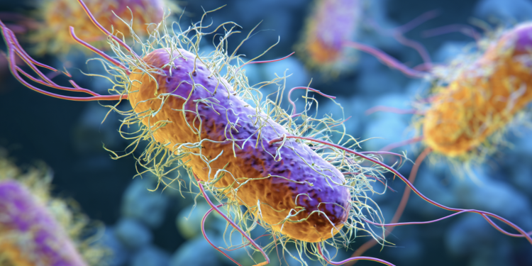Salmonella outbreak reported in relation to July 4th event in Yakima