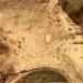 15,000 years ago, desert dwellers dined on snakes and lizards