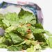 Michigan officials say salad likely cause of Cyclospora outbreak