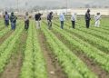 Sunday Edition: Farm Bill 2.0