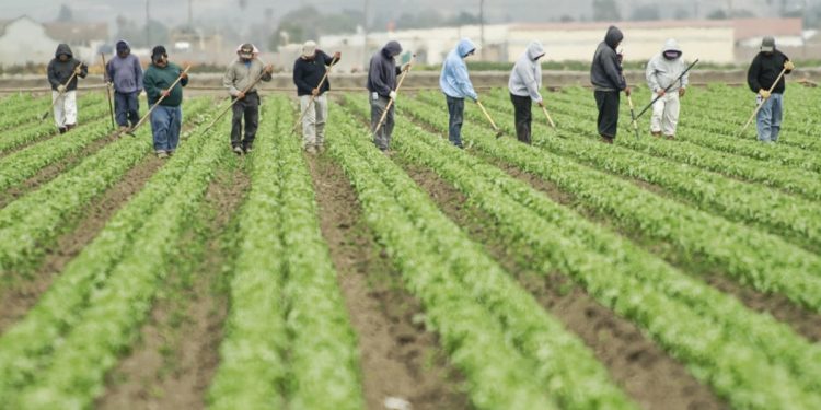 Sunday Edition: Farm Bill 2.0