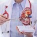 AI-Triggered Nephrology Consult Fails to Prevent Acute Kidney Injury in Trial