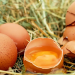 Large Salmonella and Listeria outbreaks hit Sweden in 2025