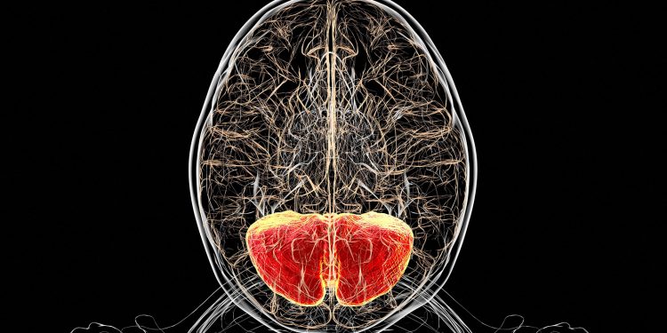 Modified Amino Acid Improves Neurologic Symptoms in Rare Genetic Disorder