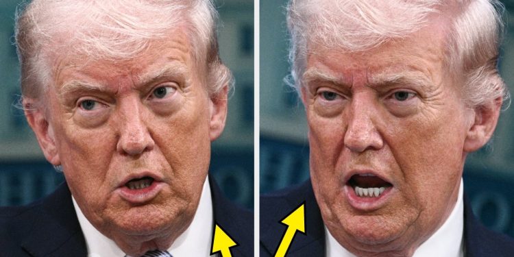 “Every Single Part Of It Is False”: This CNN Fact Checker Hit Trump Over Wildly “False” New Claims