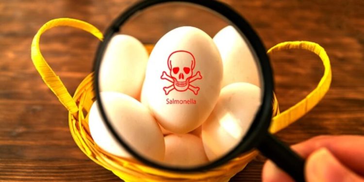French Salmonella outbreak linked to Polish eggs