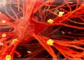 Alzheimer’s Biomarkers Change After Tuberculosis Vaccination