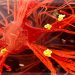 Alzheimer’s Biomarkers Change After Tuberculosis Vaccination