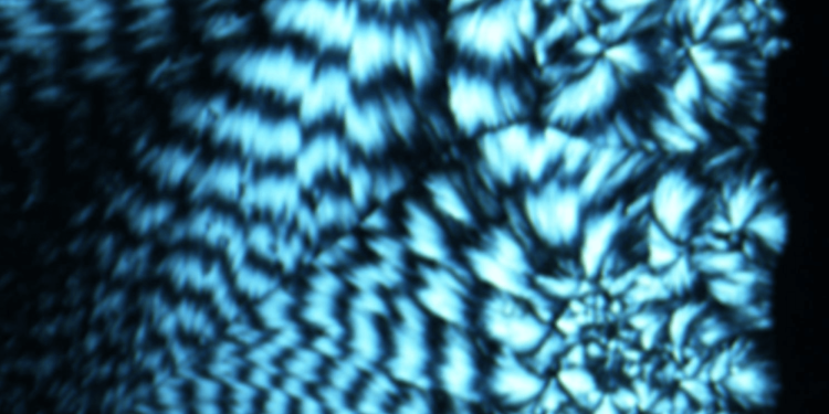 Lab-made DNA can store memory like a flash drive
