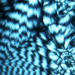 Lab-made DNA can store memory like a flash drive