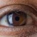 Genetic information helps predict the onset and progression of glaucoma