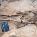 400-year-old āvampireā grave discovered in Poland