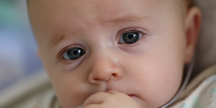 DOJ ends investigation into infant formula company linked to deadly cronobacter outbreak
