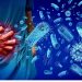 Moldova and Malta report food poisoning incidents