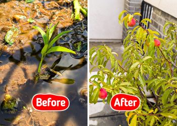 Why the People With the Best Life Skills in 2026 Still Learn Them From Gardening and Landscaping