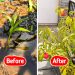 Why the People With the Best Life Skills in 2026 Still Learn Them From Gardening and Landscaping