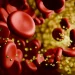 Your genes may decide whether a low-carb diet sends cholesterol soaring