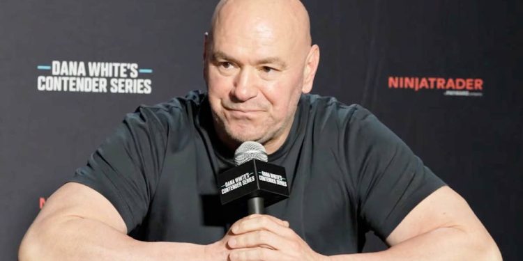 Dana White reacts to Bella Mir losing on Contenders Series