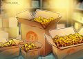 Bitcoin seeks support near $77K as BTC, gold near 100-day highs