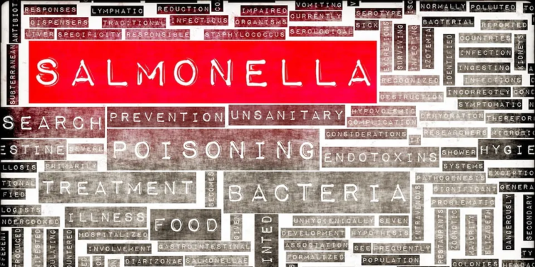More than 100 sick in severe multi-country Salmonella outbreak