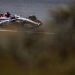 Haas lines up four-driver shootout for Ocon seat