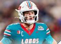 ‘Brutal Turn of Events,’ ‘Absolute Bummer’ — CFB World Reacts As New Mexico QB Jack Layne Suffers Season-Ending Injury
