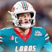 ‘Brutal Turn of Events,’ ‘Absolute Bummer’ — CFB World Reacts As New Mexico QB Jack Layne Suffers Season-Ending Injury